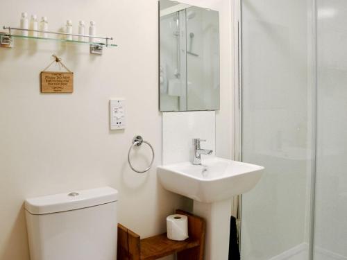 a bathroom with a toilet and a sink and a shower at The Honeypot in Padstow