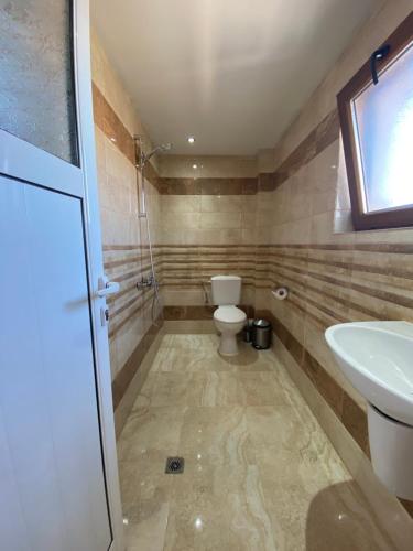 uma casa de banho com um WC e um lavatório em Стаи за гости Дима em Bansko