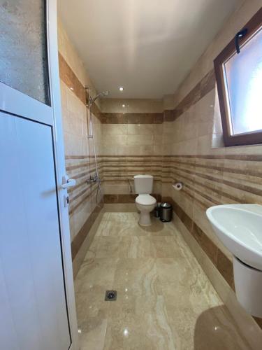 un bagno con WC e lavandino di Стаи за гости Дима a Bansko
