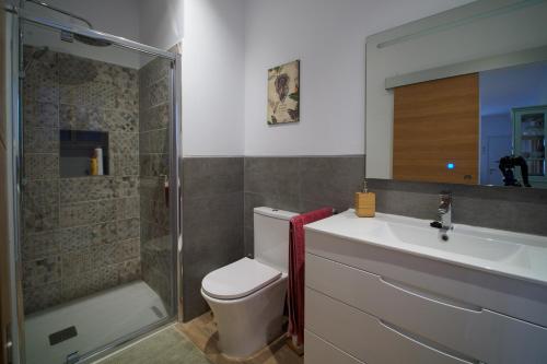 a bathroom with a toilet and a sink and a shower at Índigo in Santa Cruz de la Palma