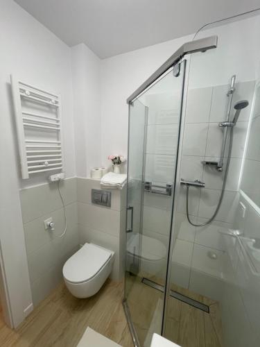 une salle de bain avec toilettes et douche en verre dans l'établissement Hilltom Dunes, à Rowy