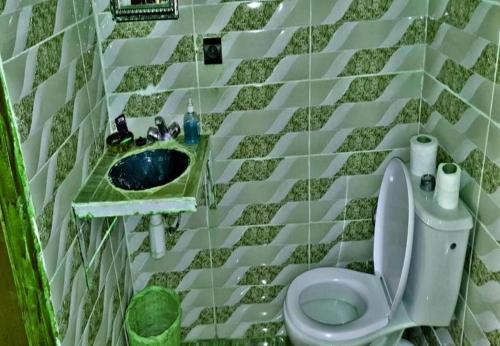 a green and white bathroom with a toilet and a sink at Camp Desert Trips in Mhamid