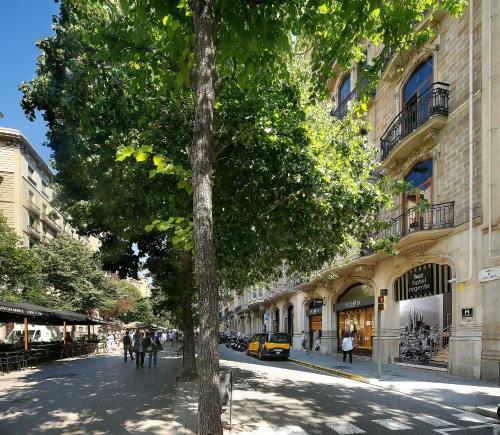 バルセロナにあるHCC レジェンテの通り側の木