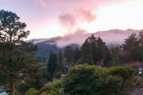 Nest Marin – Photos 2