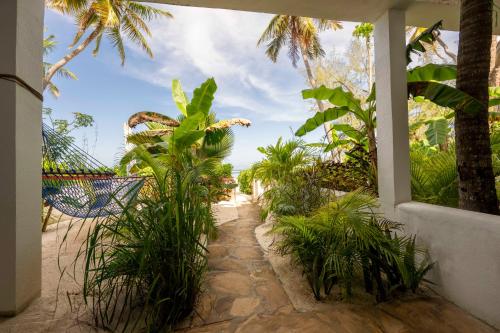 a view from the porch of a house with plants at Surfescape Zanzibar in Kiwengwa