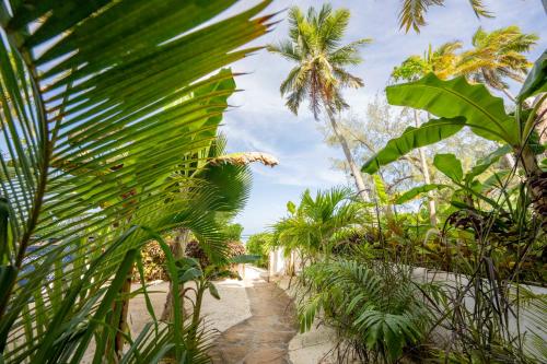 a path through a jungle with palm trees at Surfescape Zanzibar in Kiwengwa