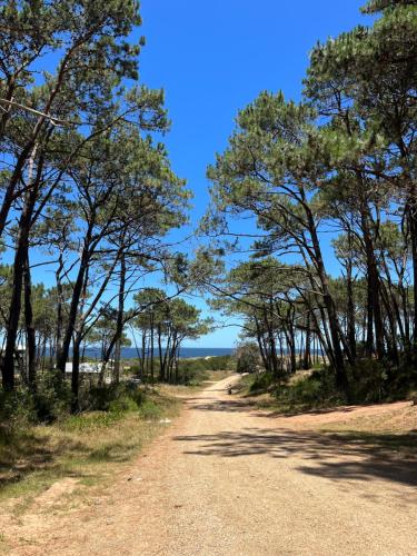 een onverharde weg met bomen aan weerszijden bij DomosdeMar in Ocean Park