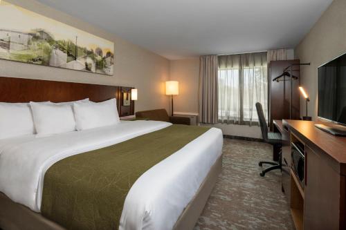 um quarto de hotel com uma cama grande e uma televisão em Comfort Inn Hamilton/Stoney Creek em Hamilton