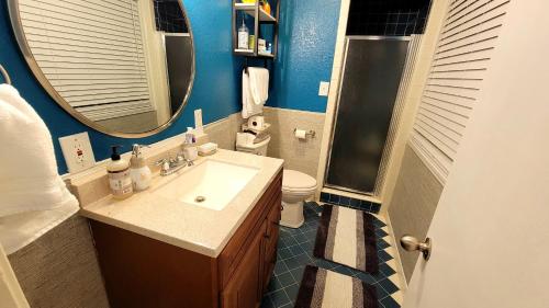 ein Badezimmer mit einem Waschbecken, einem WC und einem Spiegel in der Unterkunft cozy country living in Belton