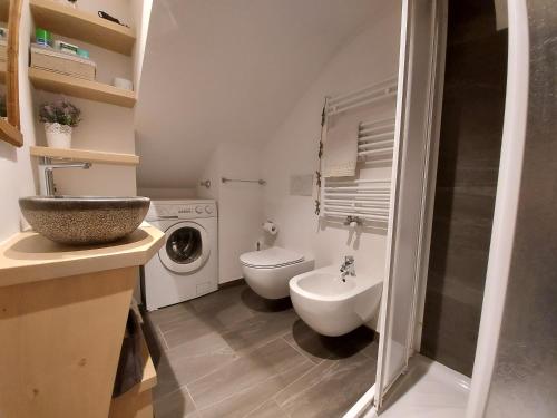 a bathroom with a toilet and a sink and a washing machine at Casa Rita in Tesero