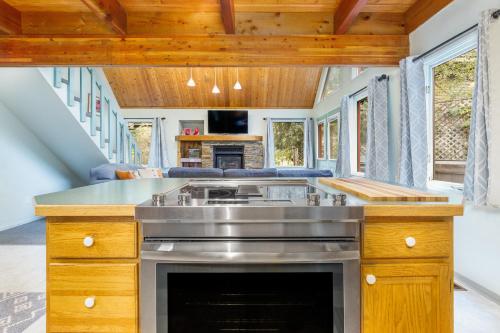 a kitchen with a stove and a fireplace at Snowbird Chalet #8 in Girdwood