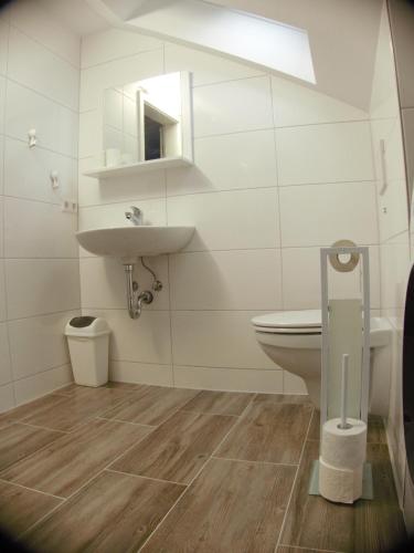 a bathroom with a sink and a toilet at Alb-Biosphäre-Ferienwohnung in Ingstetten