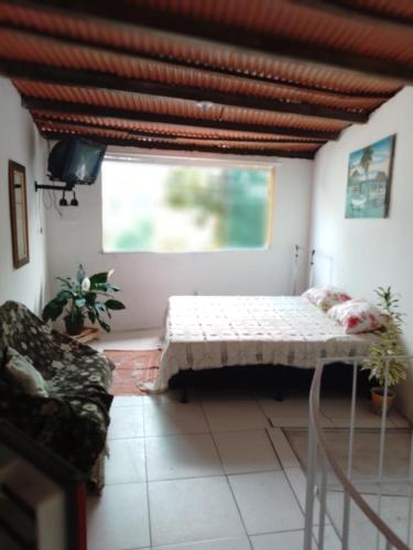 sala de estar con cama y ventana en CACTUS KIT NET, en Salvador