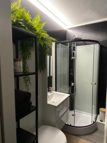 Koupelna v ubytování Studio Confort Centre Ville