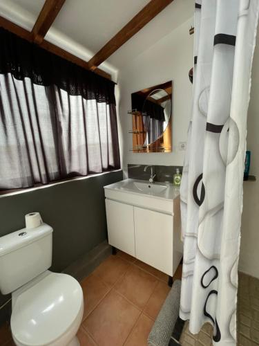 uma casa de banho com um WC branco e um lavatório. em Blue eagle Guesthouse em Santa Maria