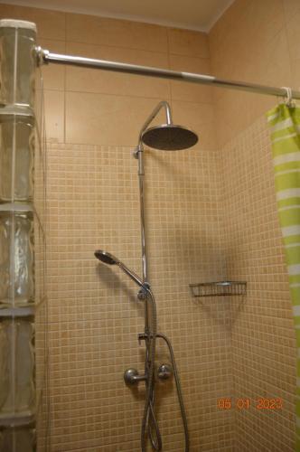een douche met een douchekop in een badkamer bij Quinta das Figueiras in Vila Nova de Cacela