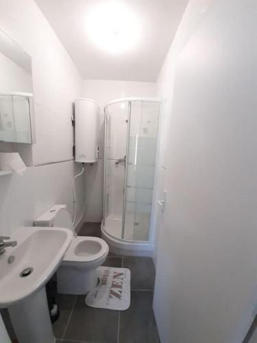 une salle de bain avec une douche, des toilettes et un lavabo dans l'établissement Résidence du Houx - 2 (Astérix, Aéroport CDG...), à Survilliers