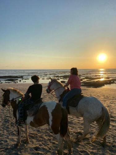 two people riding horses on the beach at sunset at Casa Vitality Bed and Breakfast - Playa Guiones, Nosara - 4 Minute Walk to the Beach in Nosara