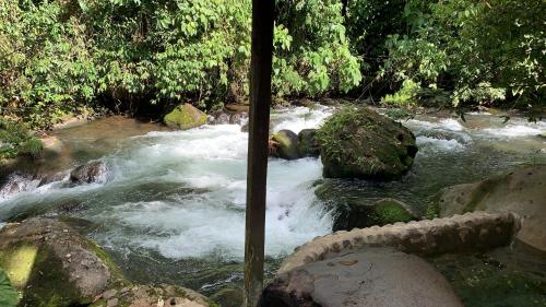 a stream of water with rocks in a forest at Casa Vitality Bed and Breakfast - Playa Guiones, Nosara - 4 Minute Walk to the Beach in Nosara