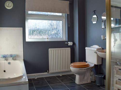 een badkamer met een toilet, een wastafel en een raam bij The Orchard in Bideford