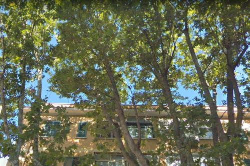 The building in which Az apartmant is located