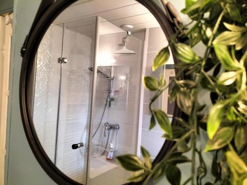 a mirror in a bathroom with a shower at Au bord du vieux Moulin in Mérignac
