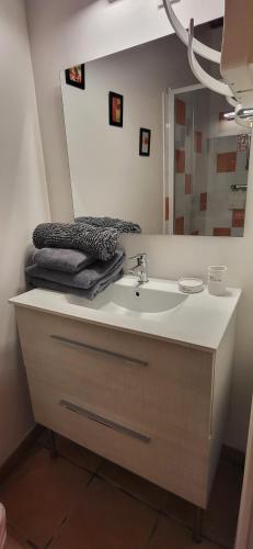 une salle de bain avec un lavabo et un miroir dans l'établissement Maisonette de pays classée 3 étoiles, à La Cotinière