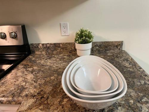 a plate on a counter with a plant on it at Executive Apartment at Southend Sudbury in Sudbury