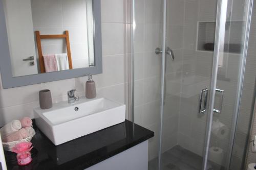 ein Badezimmer mit einem weißen Waschbecken und einer Dusche in der Unterkunft Pedras Negras House in Biscoitos