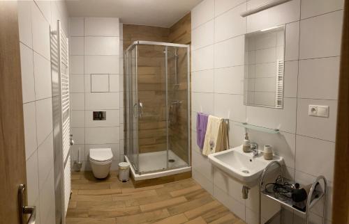 利托斯基簡的住宿－Apartmán Liptovsky Ján，带淋浴、卫生间和盥洗盆的浴室