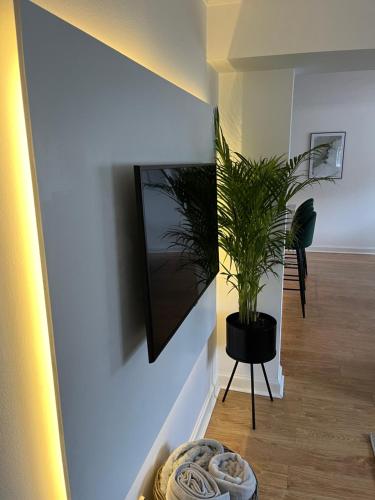 a plant in a black pot on a stand in a hallway at Lux 2 Bedroom Ground Floor Apartment in Edinburgh