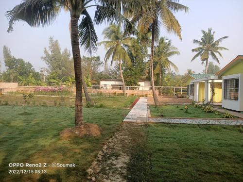 a palm tree in a yard next to a house at Sunderban Tiger Residency in Gosāba