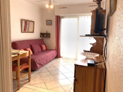 un salon avec un canapé et une télévision dans l'établissement Appartement F1 avec balcon et parking, à 5 min des Thermes et de l’Étang de Thau, animaux admis - FR-1-503-16, à Balaruc-les-Bains
