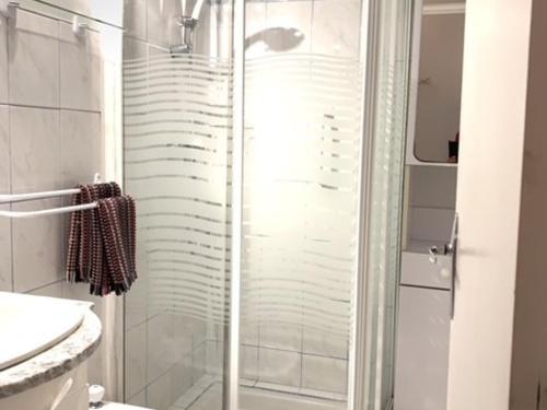 une salle de bain avec une douche, des toilettes et un lavabo dans l'établissement Appartement F1 avec balcon et parking, à 5 min des Thermes et de l’Étang de Thau, animaux admis - FR-1-503-16, à Balaruc-les-Bains