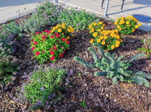 Jardín al aire libre en Apartmán A2 Lednice
