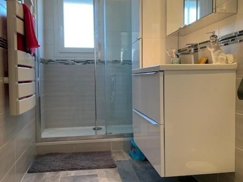 baño con ducha y puerta de cristal en Maison Balaruc-les-Bains, 3 pièces, 4 personnes - FR-1-503-126, en Balaruc-les-Bains