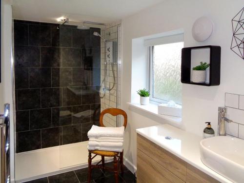 a bathroom with a shower and a sink at The Old Winery Cottage in Dymock