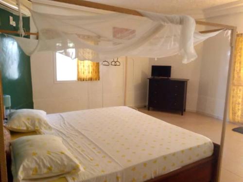 Poundiougne的住宿－Maison de Vacances à Foundiougne, Sénégal，一间卧室配有一张带天蓬和窗户的床