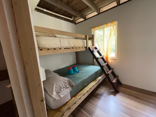 a bunk bed with a ladder in a room at Tesoro Escondido Ecolodge Cabinas in Bocas del Toro