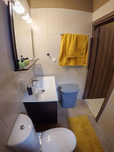 a bathroom with a sink and a toilet and a mirror at Garden house in Neapolis