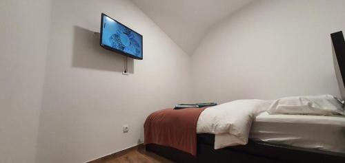 une chambre avec un lit et une télévision à écran plat au mur dans l'établissement MONTANA apartment 21, à Kopaonik