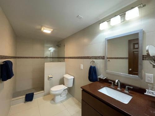 een badkamer met een toilet, een wastafel en een spiegel bij OASIS Penthouse with private garden & shared pool in Koolbaai