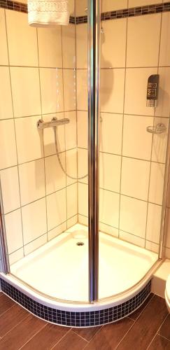 a shower with a glass door in a bathroom at Villa Helvetia in Bad Elster