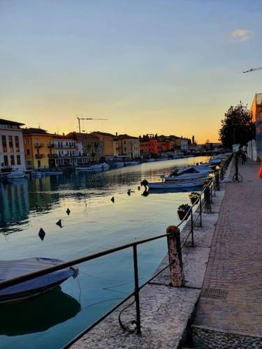 a row of boats in a river with birds on it at Una Rosa sul Mincio in Valeggio sul Mincio