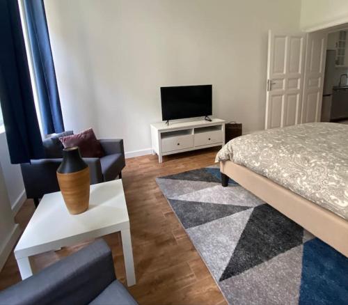 um quarto com uma cama e uma televisão numa mesa em Raday street, spacious, modern apartment em Budapeste