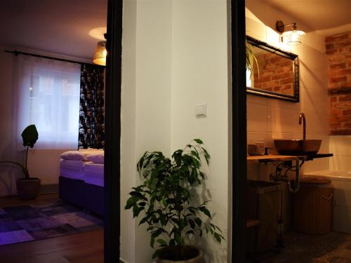 a bathroom with a potted plant next to a door at Green Garden Station in Zagreb