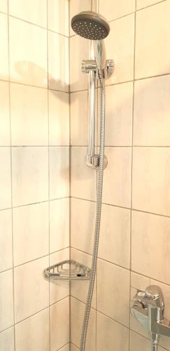 a shower with a shower head in a bathroom at Villa Helvetia in Bad Elster