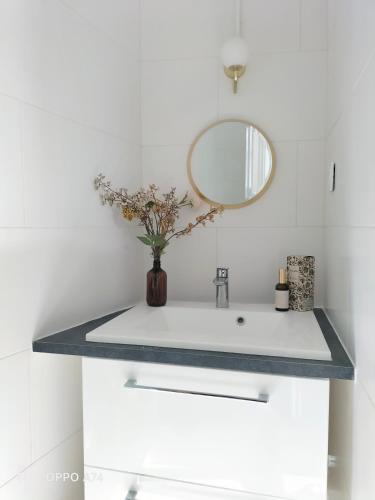 une salle de bain avec un lavabo et un miroir dans l'établissement IMHOST - Spacious Appt near PARIS, à Pantin