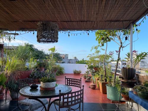 a patio with a table and chairs and potted plants at Centrico ciudad colonial in Santo Domingo