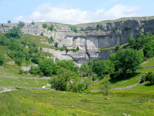 uma vista para uma montanha com relva e árvores em Halton Gill Cottage em Deepdale